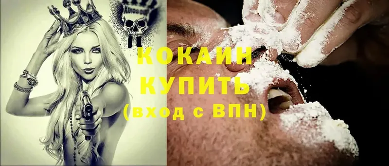 купить наркотики цена  Завитинск  COCAIN Эквадор 